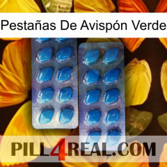 Pestañas De Avispón Verde viagra2